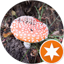 Vilma Ll profile picture